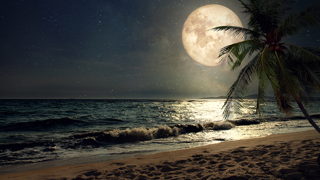 beach moon