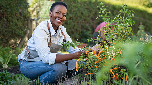 woman gardening